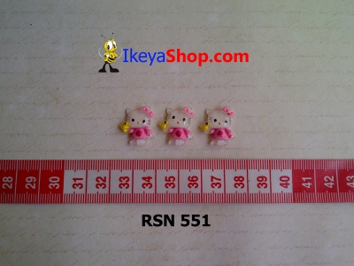 rsn 551  large2